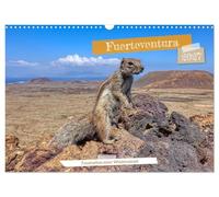 Calendrier 2027 · US Version · Fuerteventura - Le charme d'une île déserte | Impressions de l'île déserte des Canaries · DIN A3 paysage · CALVENDO Calendrier mural