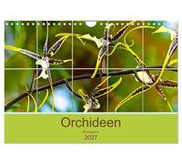 Calendrier 2027 · US Version · Galerie d'images d'orchidées | La beauté naturelle des orchidées les plus nobles · DIN A4 paysage · CALVENDO Calendrier mural