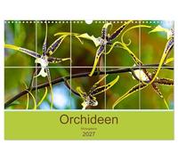 Calendrier 2027 · US Version · Galerie d'images d'orchidées | La beauté naturelle des orchidées les plus nobles · DIN A3 paysage · CALVENDO Calendrier mural