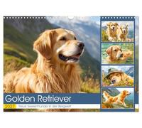 Calendrier 2027 · US Version · Golden retriever. Des chiens fidèles à l'âme | des montagnes · Au cœur des majestueux paysages alpins, ces chiens imposants… · DIN A3 paysage · CALVENDO Calendrier mural
