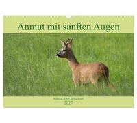 Calendrier 2027 · US Version · Grace au regard doux - une chevreuille en | pleine nature · Un aperçu de l'univers d'une espèce animale extraordinaire · DIN A3 paysage · CALVENDO Calendrier mural