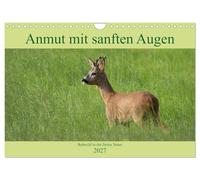 Calendrier 2027 · US Version · Grace au regard doux - une chevreuille en | pleine nature · Un aperçu de l'univers d'une espèce animale extraordinaire · DIN A4 paysage · CALVENDO Calendrier mural