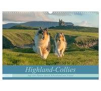 Calendrier 2027 · US Version · Highland Collies - À quatre pattes à travers | l'Écosse et l'Irlande · Les colleys et l'Écosse : une histoire d'amour éternelle · DIN A3 paysage · CALVENDO Calendrier mural