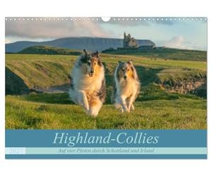 Calendrier 2027 · US Version · Highland Collies - À quatre pattes à travers | l'Écosse et l'Irlande · Les colleys et l'Écosse : une histoire d'amour éternelle · DIN A3 paysage · CALVENDO Calendrier mural