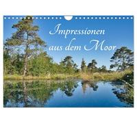 Calendrier 2027 · US Version · Impressions de la lande | Une année pleine de secrets et de beauté · DIN A4 paysage · CALVENDO Calendrier mural