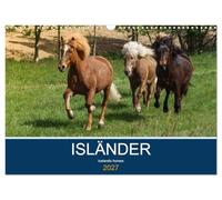 Calendrier 2027 · US Version · Isländer - chevaux islandais | Au fil des saisons avec les chevaux vikings · DIN A3 paysage · CALVENDO Calendrier mural