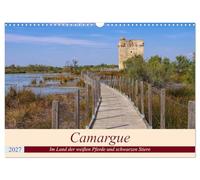 Calendrier 2027 · US Version · La Camargue - Au pays des chevaux blancs et | des taureaux noirs · Paysage idyllique en noir, blanc et rose · DIN A3 paysage · CALVENDO Calendrier mural
