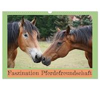 Calendrier 2027 · US Version · La fascination pour l'amitié avec les | chevaux · Chevaux rhénans-allemands à sang froid et Trakehner : des amis pour… · DIN A3 paysage · CALVENDO Calendrier mural