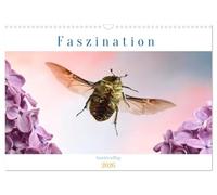 Calendrier 2027 · US Version · La fascination pour le vol des insectes | Un aperçu haut en couleur du monde merveilleux des insectes au moment où ils… · DIN A3 paysage · CALVENDO Calendrier mural