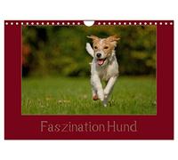Calendrier 2027 · US Version · La fascination pour les chiens | Le plus fidèle compagnon de l’homme sous son plus beau jour · DIN A4 paysage · CALVENDO Calendrier mural