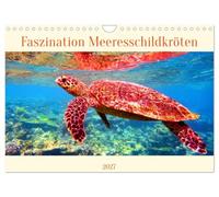 Calendrier 2027 · US Version · La fascination pour les tortues de mer | Les rencontres avec les tortues de mer font battre le cœur de chacun plus fort · DIN A4 paysage · CALVENDO Calendrier mural