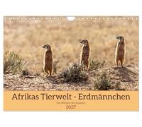 Calendrier 2027 · US Version · La faune africaine - Les suricates | Très proches des suricates, ces animaux si attachants qui vivent dans le… · DIN A4 paysage · CALVENDO Calendrier mural