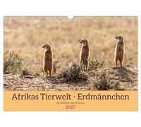 Calendrier 2027 · US Version · La faune africaine - Les suricates | Très proches des suricates, ces animaux si attachants qui vivent dans le… · DIN A3 paysage · CALVENDO Calendrier mural