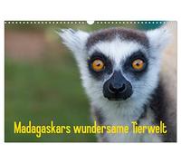 Calendrier 2027 · US Version · La faune merveilleuse de Madagascar | Un voyage au pays des lémuriens, des caméléons et des geckos · DIN A3 paysage · CALVENDO Calendrier mural