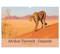 Calendrier 2027 · US Version · La faune sauvage africaine - Les guépards | Les guépards : à la rencontre des chefs-d'œuvre de l'évolution · DIN A3 paysage · CALVENDO Calendrier mural