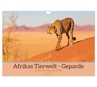 Calendrier 2027 · US Version · La faune sauvage africaine - Les guépards | Les guépards : à la rencontre des chefs-d'œuvre de l'évolution · DIN A4 paysage · CALVENDO Calendrier mural