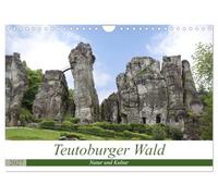 Calendrier 2027 · US Version · La forêt de Teutoburg : nature et culture | La forêt de Teutoburg fascine par sa diversité · DIN A4 paysage · CALVENDO Calendrier mural