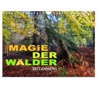 Calendrier 2027 · US Version · La magie des forêts britanniques | Des moments exceptionnels et magiques immortalisés dans les forêts de… · DIN A4 paysage · CALVENDO Calendrier mural
