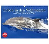 Calendrier 2027 · US Version · La vie dans les océans. Les dauphins, les | baleines et les requins · La nage et la vie dans les océans du monde entier · DIN A3 paysage · CALVENDO Calendrier mural