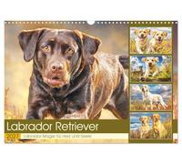 Calendrier 2027 · US Version · Labrador retriever. La magie du labrador | pour le cœur et l'âme · Ces chiens expriment leur joie de vivre et leur beauté… · DIN A3 paysage · CALVENDO Calendrier mural
