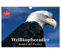 Calendrier 2027 · US Version · L'aigle à tête blanche. Symbole de liberté | Admirez de près les oiseaux de proie royaux et messagers des dieux · DIN A4 paysage · CALVENDO Calendrier mural