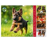 Calendrier 2027 · US Version · L'amour des bergers: votre dose quotidienne | de joie canine, sans avoir à les promener · Une année pleine de joie toute… · DIN A3 paysage · CALVENDO Calendrier mural