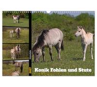 Calendrier 2027 · US Version · L'amour maternel - Un poulain Konik et sa | jument · Sélection de photos de jeunes poulains Konik avec leur mère · DIN A3 paysage · CALVENDO Calendrier mural