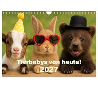 Calendrier 2027 · US Version · Le bébé animal du jour | Si les bébés animaux étaient des mois · DIN A4 paysage · CALVENDO Calendrier mural