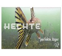 Calendrier 2027 · US Version · Le brochet : un chasseur hors pair | Les prédateurs qui rôdent sous l'eau sont discrets, rapides et remportent… · DIN A3 paysage · CALVENDO Calendrier mural