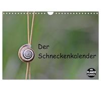 Calendrier 2027 · US Version · Le calendrier des escargots | Six espèces différentes d'escargots indigènes en 13 photos macro en couleur · DIN A4 paysage · CALVENDO Calendrier mural
