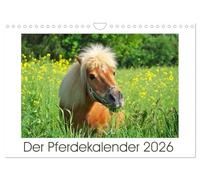 Calendrier 2027 · US Version · Le calendrier du cheval | De magnifiques photos de chevaux vous accompagnent tout au long de l'année · DIN A4 paysage · CALVENDO Calendrier mural