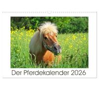 Calendrier 2027 · US Version · Le calendrier du cheval | De magnifiques photos de chevaux vous accompagnent tout au long de l'année · DIN A3 paysage · CALVENDO Calendrier mural