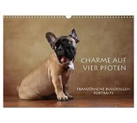 Calendrier 2027 · US Version · Le charme à quatre pattes | Portraits de bouledogues français · DIN A3 paysage · CALVENDO Calendrier mural