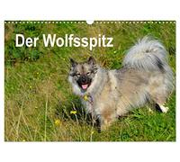 Calendrier 2027 · US Version · Le chien-loup | Le Wolfsspitz est l'une des races de chiens les plus anciennes et le plus grand… · DIN A3 paysage · CALVENDO Calendrier mural
