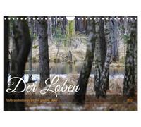 Calendrier 2027 · US Version · Le Loben. Au royaume des esprits des marais | et des vipères · le dernier grand marais du sud du Brandebourg · Impressions… · DIN A4 paysage · CALVENDO Calendrier mural