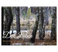 Calendrier 2027 · US Version · Le Loben. Au royaume des esprits des marais | et des vipères · le dernier grand marais du sud du Brandebourg · Impressions… · DIN A3 paysage · CALVENDO Calendrier mural