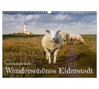Calendrier 2027 · US Version · Le magnifique quartier d'Eiderstedt | Le Grand Nord de l'Allemagne dévoile en toute saison la beauté aux multiples… · DIN A3 paysage · CALVENDO Calendrier mural