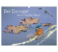 Calendrier 2027 · US Version · Le martin-pêcheur, un joyau de la nature | Le fait d'observer un si bel oiseau en Allemagne nous donne toutes les raisons… · DIN A3 paysage · CALVENDO Calendrier mural