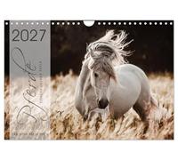 Calendrier 2027 · US Version · Le miroir de ton âme | Laissez-vous emporter dans l'univers fascinant des chevaux · DIN A4 paysage · CALVENDO Calendrier mural