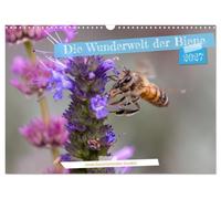 Calendrier 2027 · US Version · Le monde merveilleux des abeilles | Photos macro d'abeilles butinant des fleurs · DIN A3 paysage · CALVENDO Calendrier mural