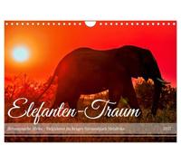 Calendrier 2027 · US Version · Le rêve de l'éléphant - L'Afrique, c'est une | affaire de cœur · Les pachydermes du parc national Kruger, en Afrique du Sud · DIN A4 paysage · CALVENDO Calendrier mural