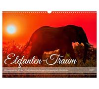 Calendrier 2027 · US Version · Le rêve de l'éléphant - L'Afrique, c'est une | affaire de cœur · Les pachydermes du parc national Kruger, en Afrique du Sud · DIN A3 paysage · CALVENDO Calendrier mural