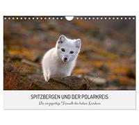 Calendrier 2027 · US Version · Le Spitzberg et le cercle polaire arctique | Une année dans le royaume animal du Grand Nord · DIN A4 paysage · CALVENDO Calendrier mural
