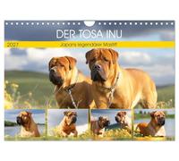 Calendrier 2027 · US Version · Le Tosa Inu. Le mastiff légendaire du Japon | Un compagnon fier, doté de cœur, de force et d'une histoire, immortalisé dans… · DIN A4 paysage · CALVENDO Calendrier mural