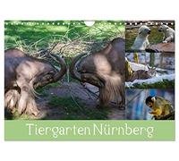 Calendrier 2027 · US Version · Le zoo de Nuremberg | Mes plus belles photos d'animaux prises à Nuremberg · DIN A4 paysage · CALVENDO Calendrier mural