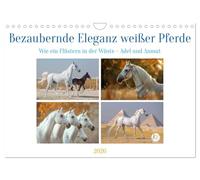 Calendrier 2027 · US Version · L'élégance envoûtante des chevaux blancs | La splendeur blanche comme neige : un symbole de pureté · DIN A4 paysage · CALVENDO Calendrier mural