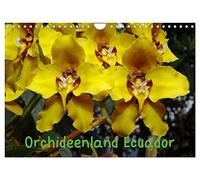 Calendrier 2027 · US Version · L'Équateur, pays des orchidées | Les orchidées dans leur milieu naturel en Équateur · DIN A4 paysage · CALVENDO Calendrier mural