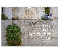 Calendrier 2027 · US Version · Les animaux dans la Bible hébraïque, avec | des versets bibliques · Certains des plus de 100 animaux mentionnés dans la… · DIN A4 paysage · CALVENDO Calendrier mural