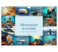 Calendrier 2027 · US Version · Les animaux marins en danger | Nos océans, notre responsabilité · Des motifs saisissants mettent en lumière la… · DIN A4 paysage · CALVENDO Calendrier mural