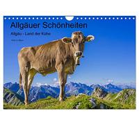 Calendrier 2027 · US Version · Les beautés de l'Allgäu | l'Allgäu, le pays des vaches · Les vaches : les stars et les beautés de l'Allgäu · DIN A4 paysage · CALVENDO Calendrier mural